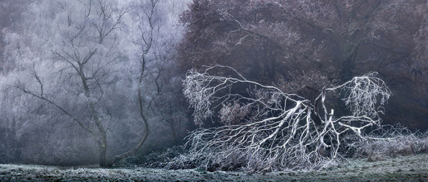 Landscape photograph made early morning in Hampstead Heath, north London.