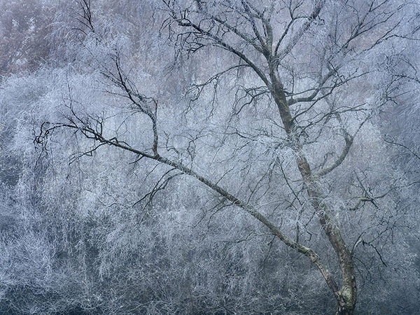 Landscape photograph made early morning in Hampstead Heath, north London.