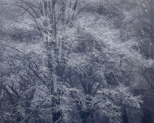 Landscape photograph made early morning in Hampstead Heath, north London.