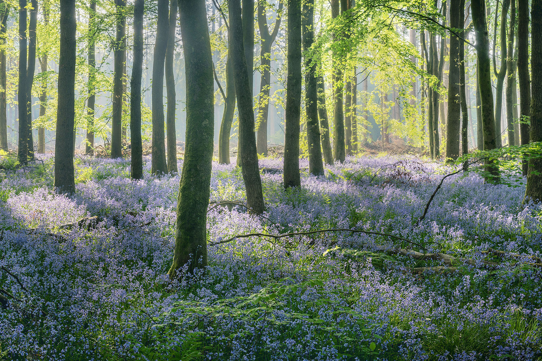 A recent landscape photograph made by Nigel Morton in the UK.