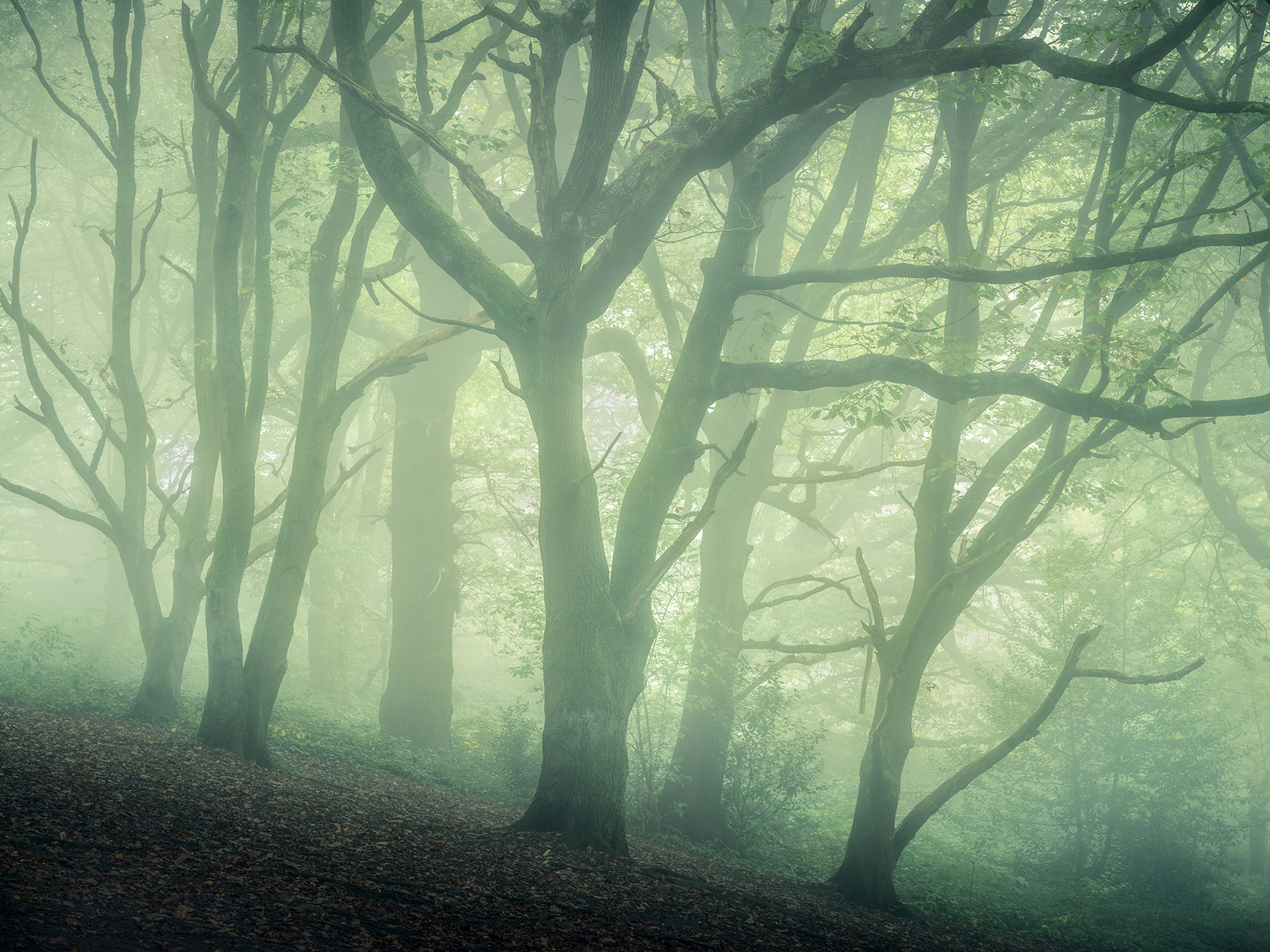 A recent landscape photograph made by Nigel Morton in the UK.