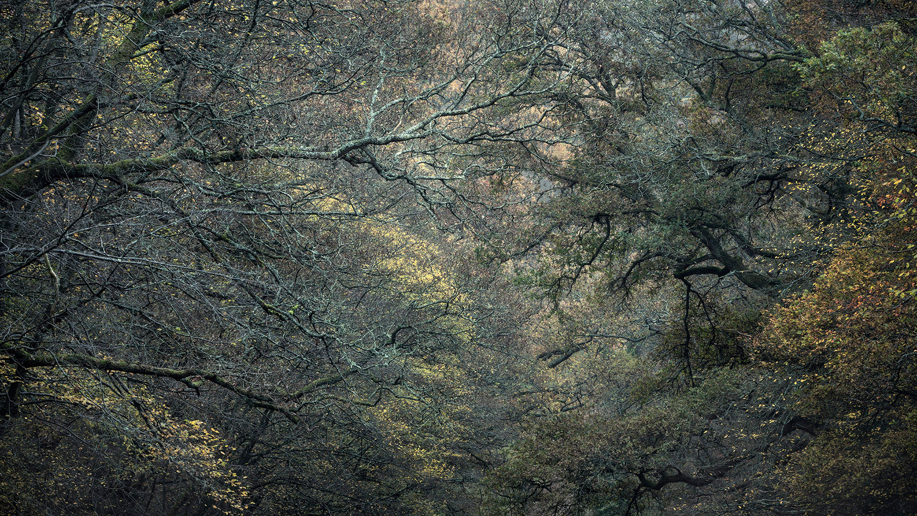 A recent landscape photograph made by Nigel Morton in the UK.