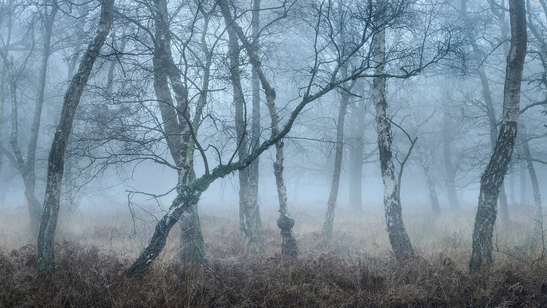 A recent landscape photograph made by Nigel Morton in the UK.