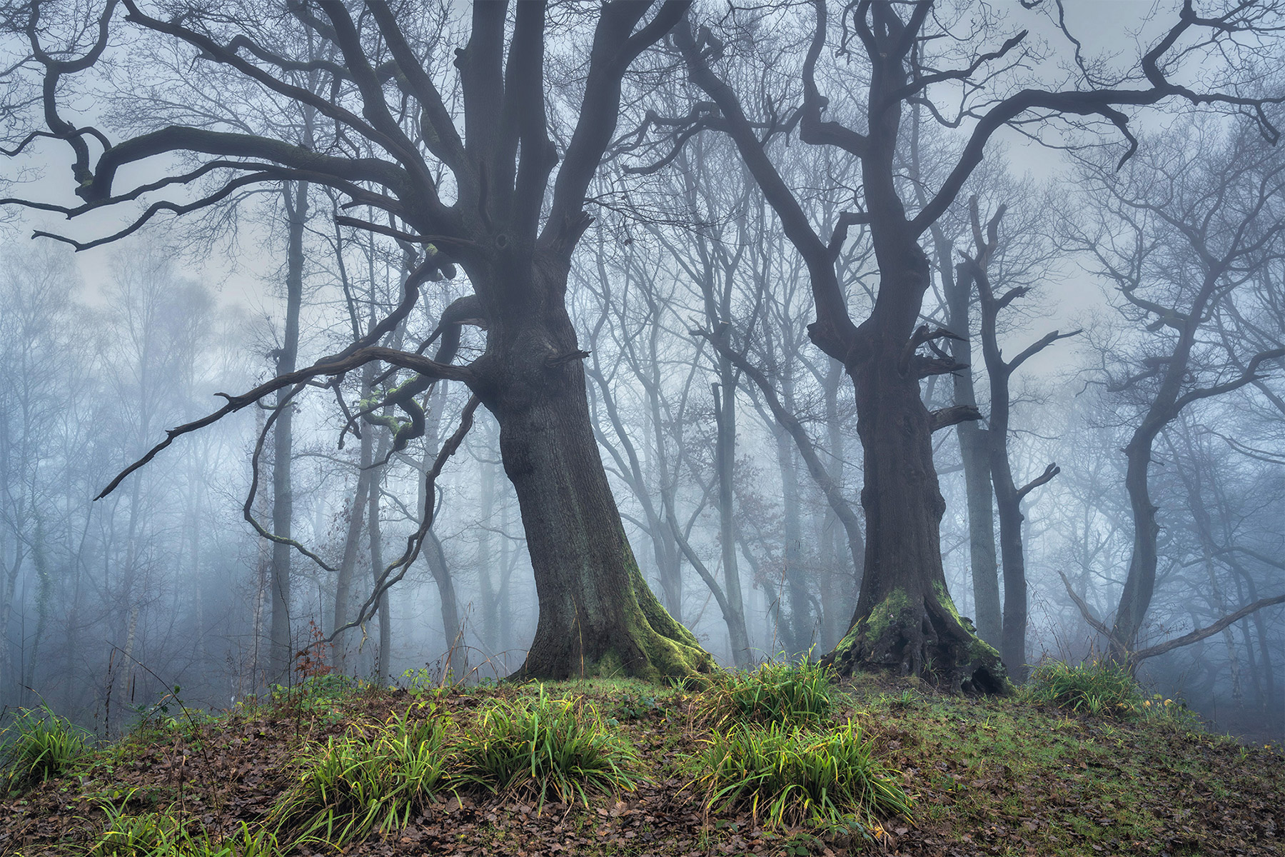A recent landscape photograph made by Nigel Morton in the UK.