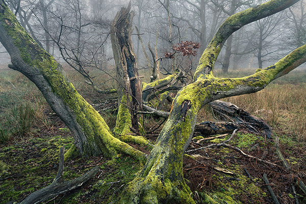 A recent landscape photograph made by Nigel Morton in the UK.