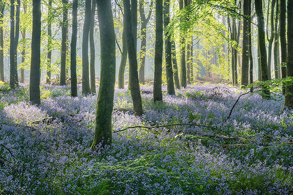 A recent landscape photograph made by Nigel Morton in the UK.