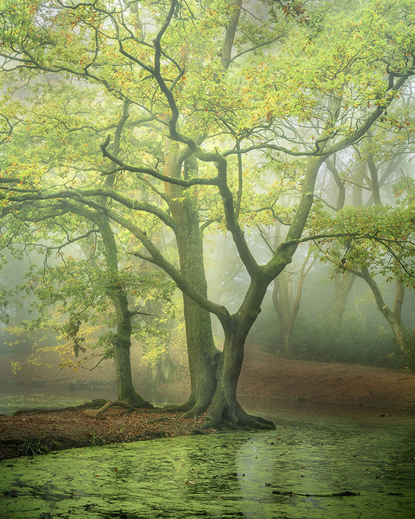 A recent landscape photograph made by Nigel Morton in the UK.