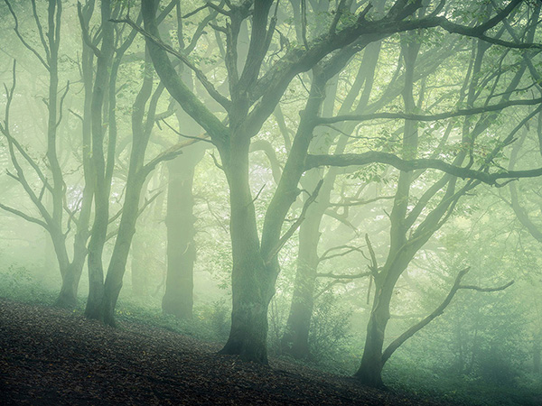 A recent landscape photograph made by Nigel Morton in the UK.