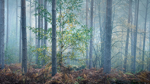 A recent landscape photograph made by Nigel Morton in the UK.
