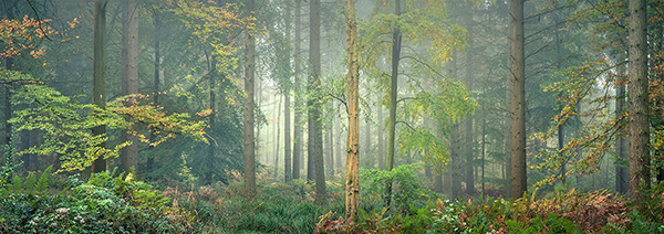 A recent landscape photograph made by Nigel Morton in the UK.