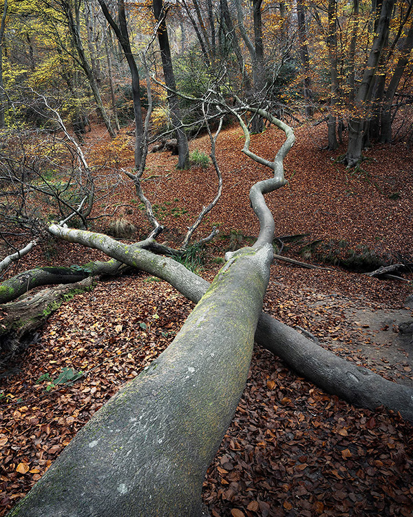 A recent landscape photograph made by Nigel Morton in the UK.