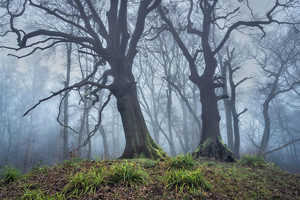 A recent landscape photograph made by Nigel Morton in the UK.