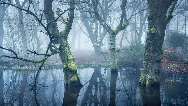 A recent landscape photograph made by Nigel Morton in the UK.