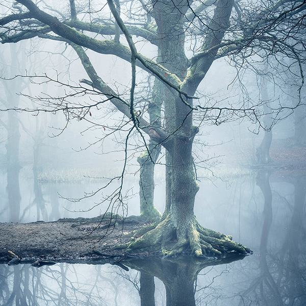 A recent landscape photograph made by Nigel Morton in the UK.