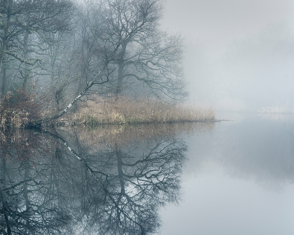 epping forest