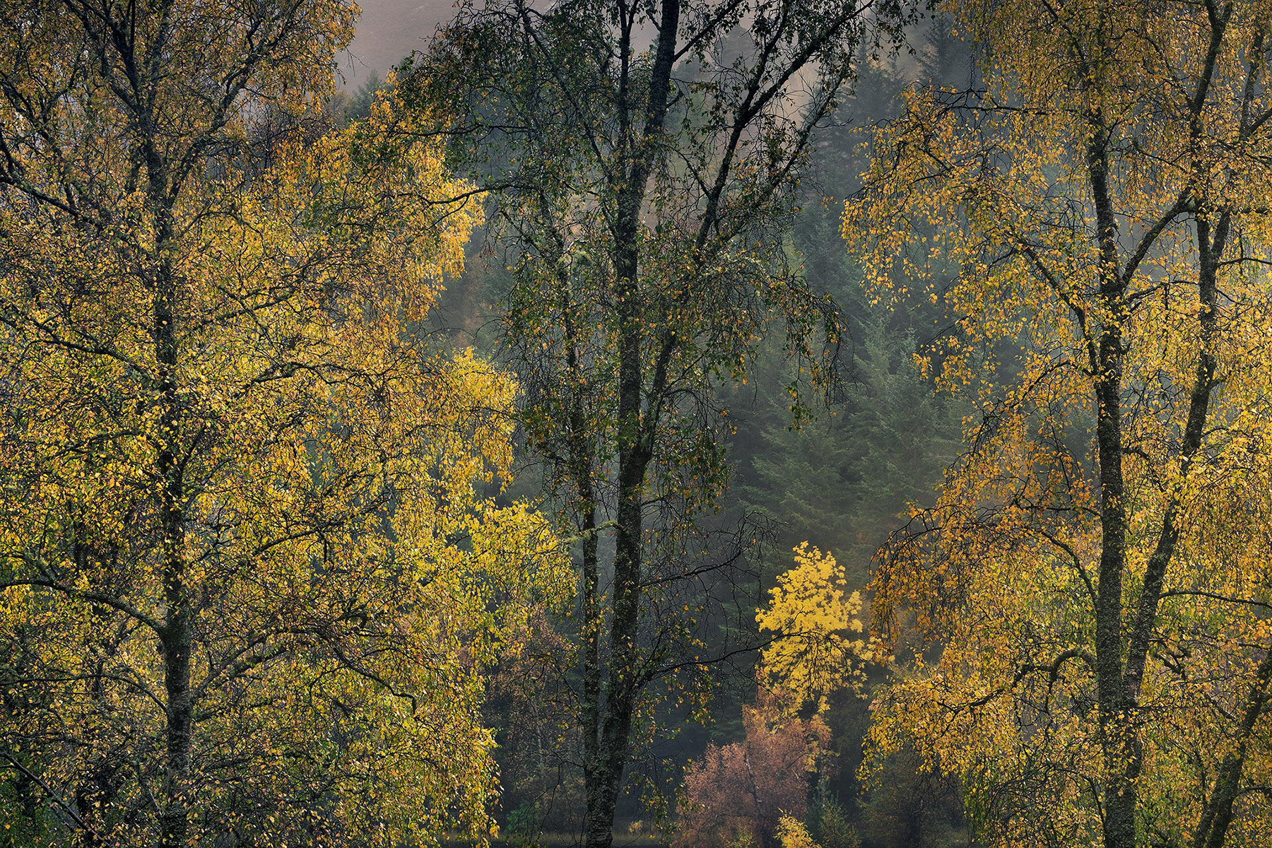 A landscape photograph made in western Scotland.