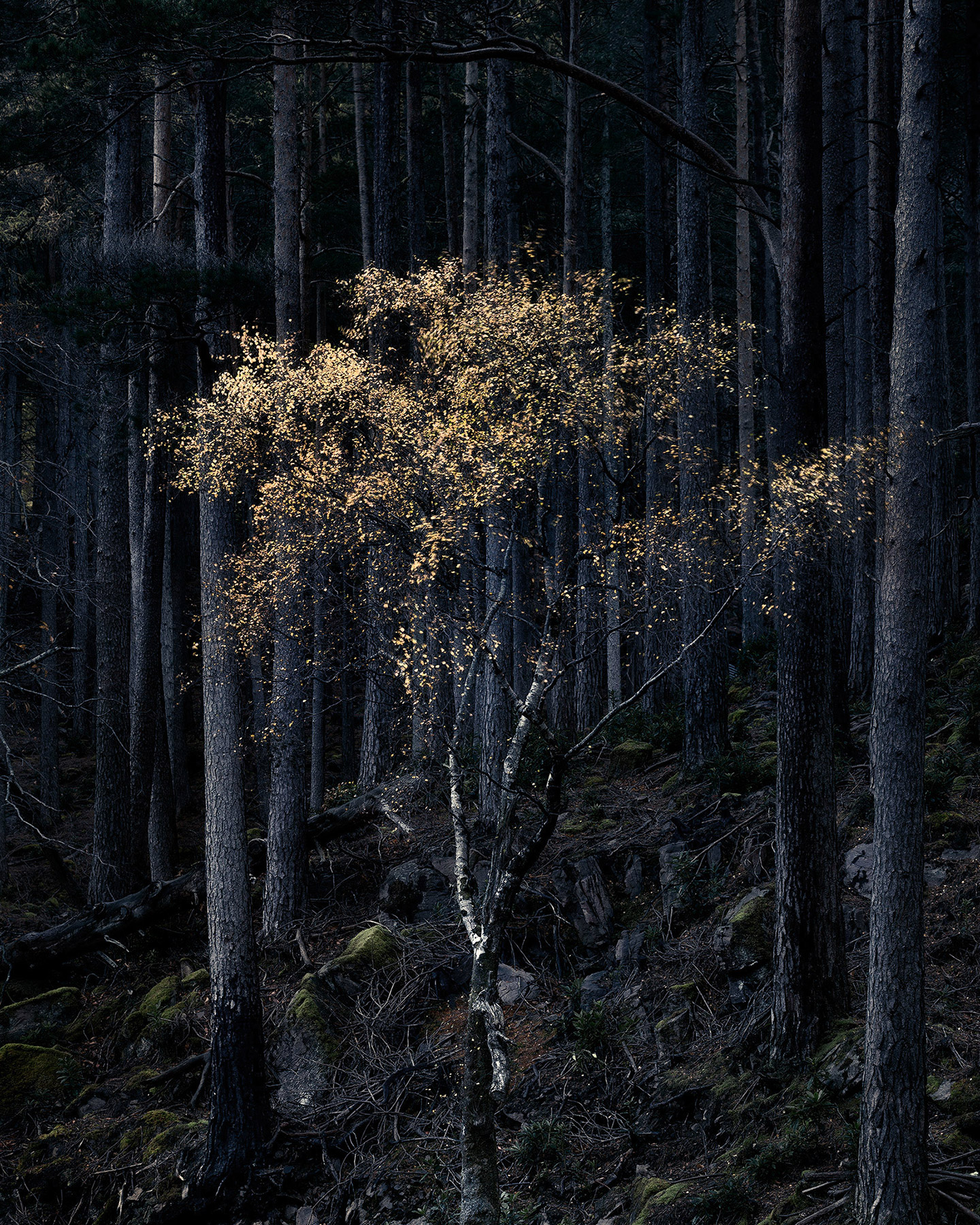 A landscape photograph made in western Scotland.