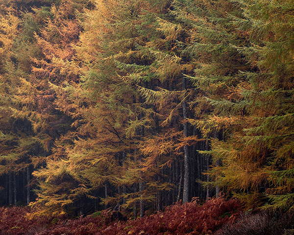 A landscape photograph made in western Scotland.