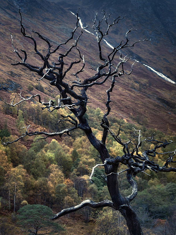 A landscape photograph made in western Scotland.