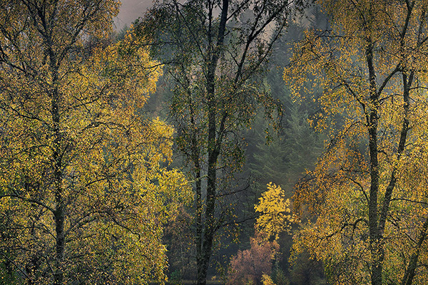 A landscape photograph made in western Scotland.
