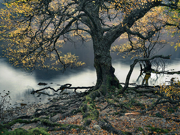 A landscape photograph made in western Scotland.