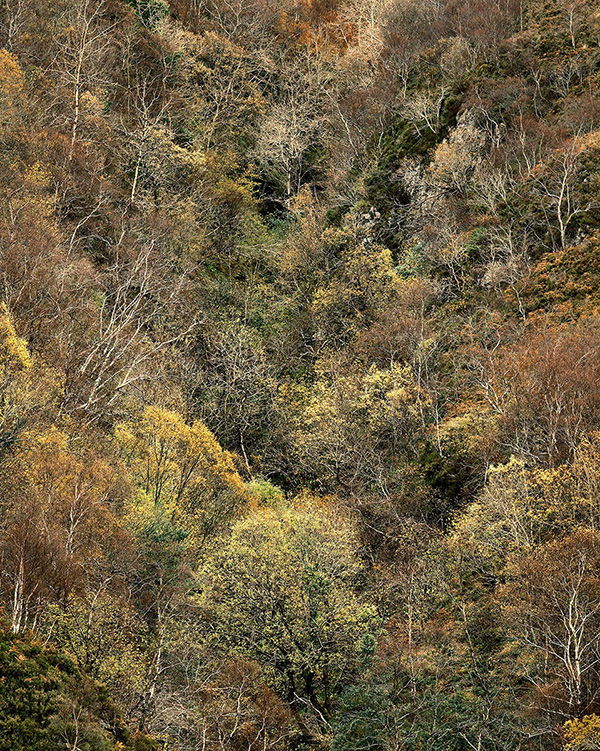 A landscape photograph made in western Scotland.