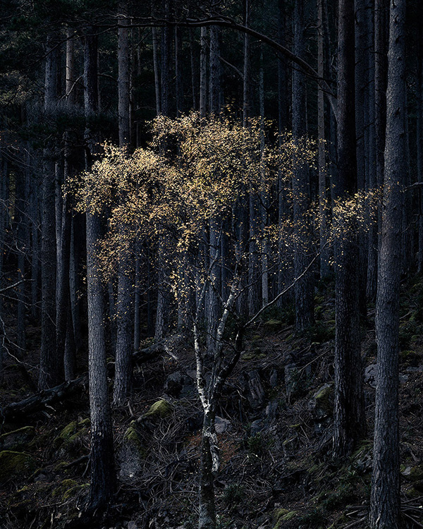 A landscape photograph made in western Scotland.
