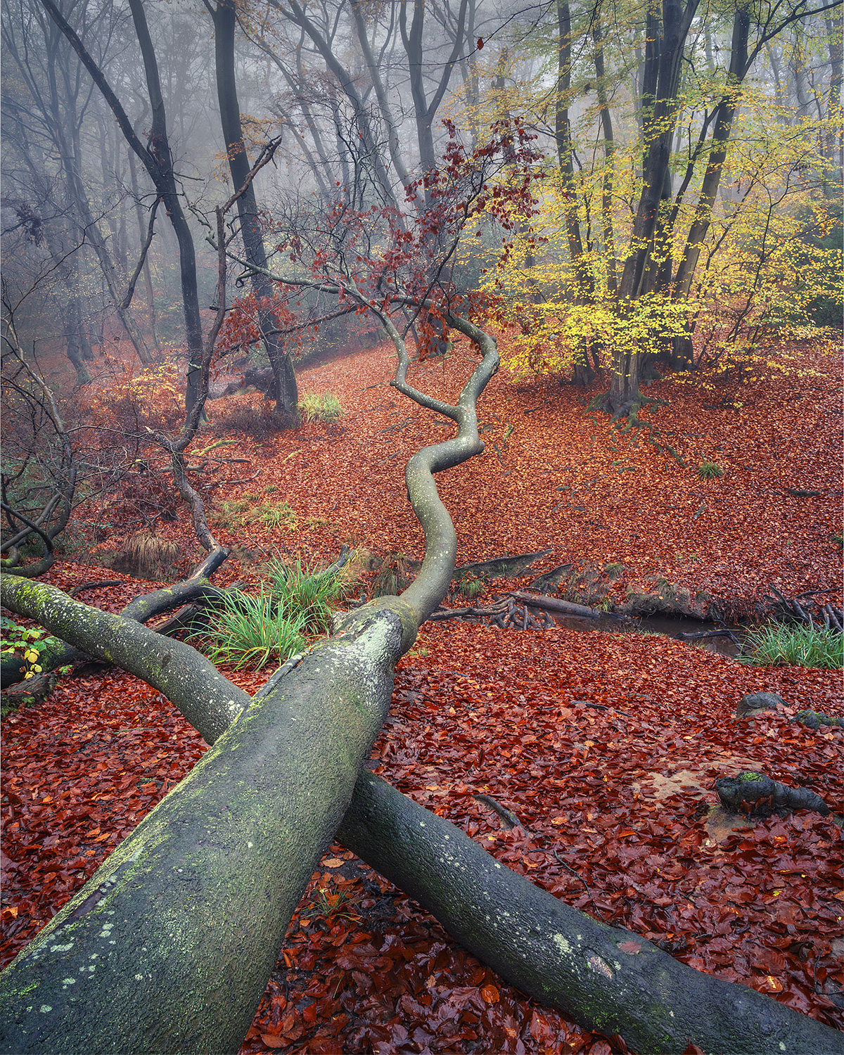 Landscape photography print examples by Nigel Morton